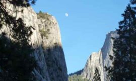 Resources on Visiting Yosemite